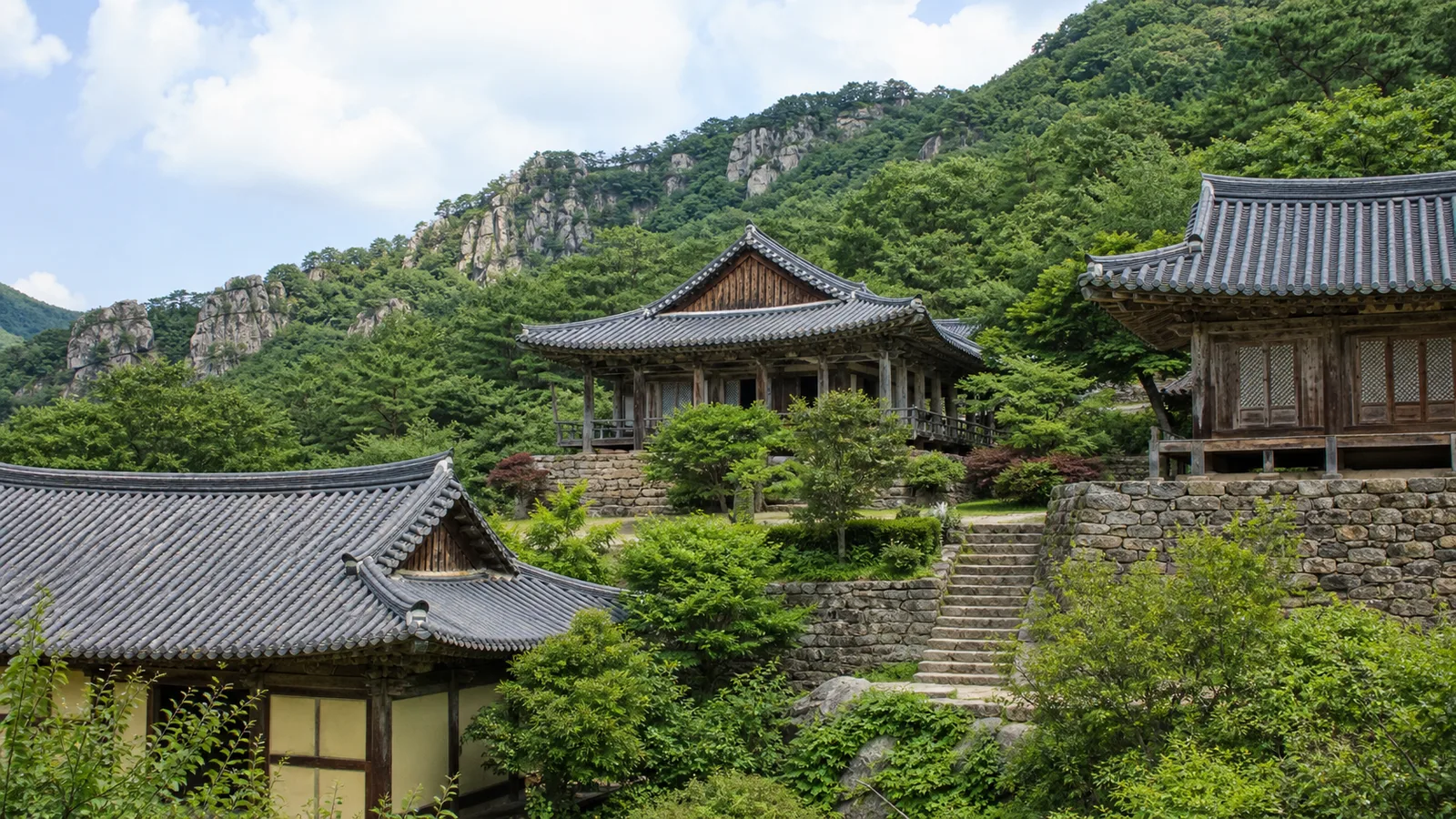 초록 산비탈과 오래된 나무 사이에 전통 전각이 자리한 안동 봉정사 여름 풍경