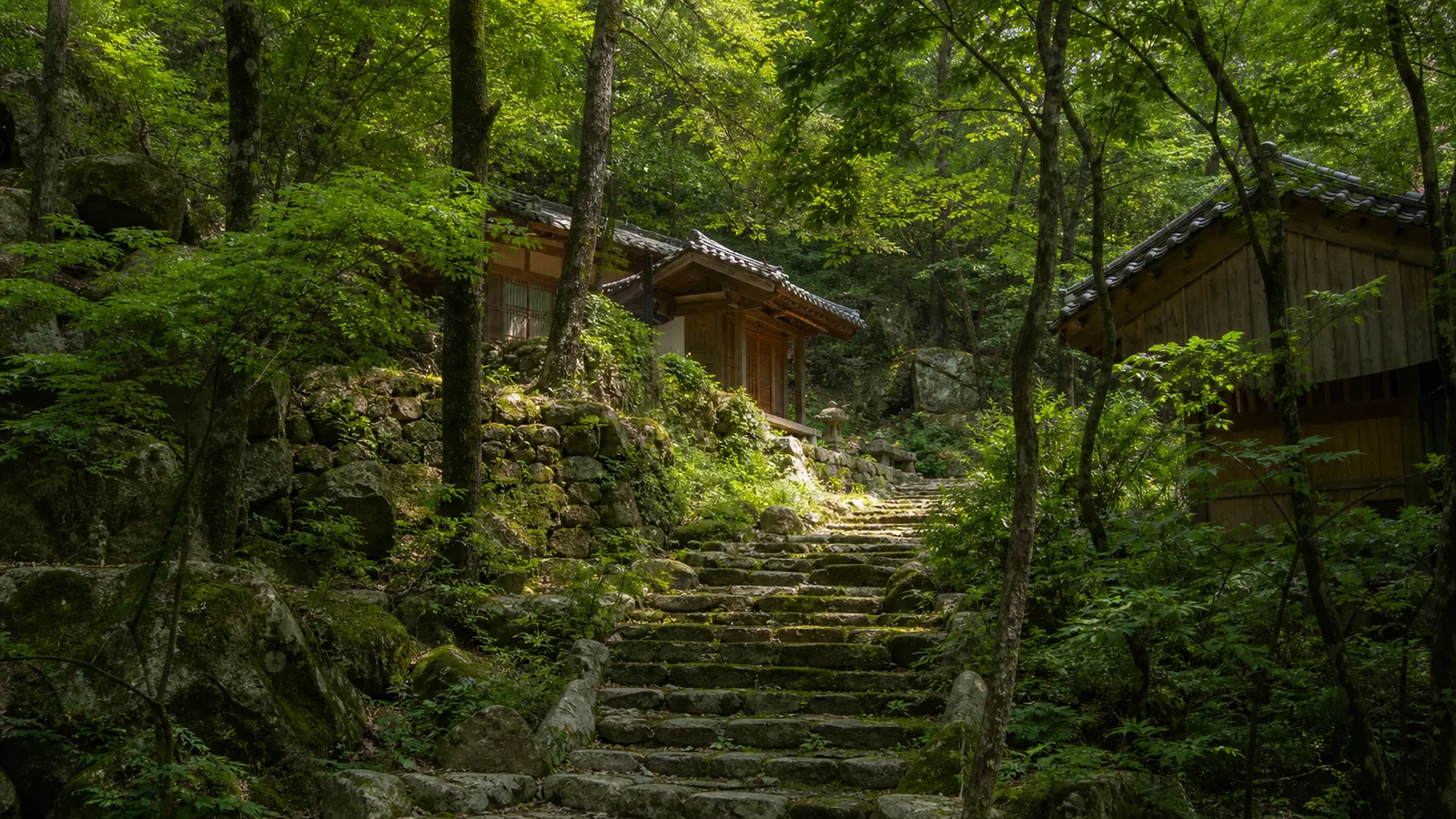 이끼 낀 돌계단과 울창한 여름 숲 사이로 작은 영산암 전각이 보이는 길