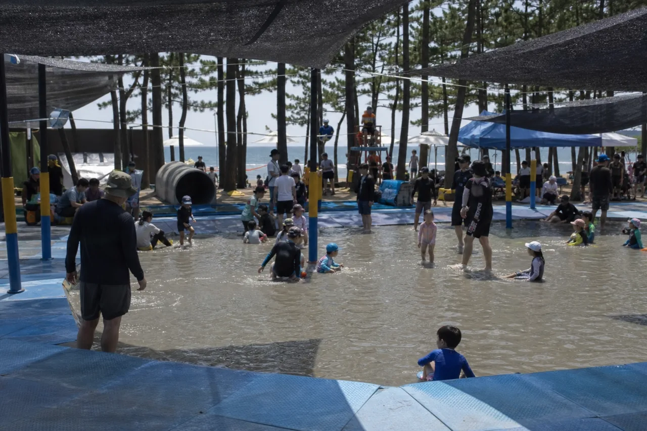 해송 그늘 아래 얕은 머드 체험장에서 보호자와 아이들이 활동하는 패밀리존
