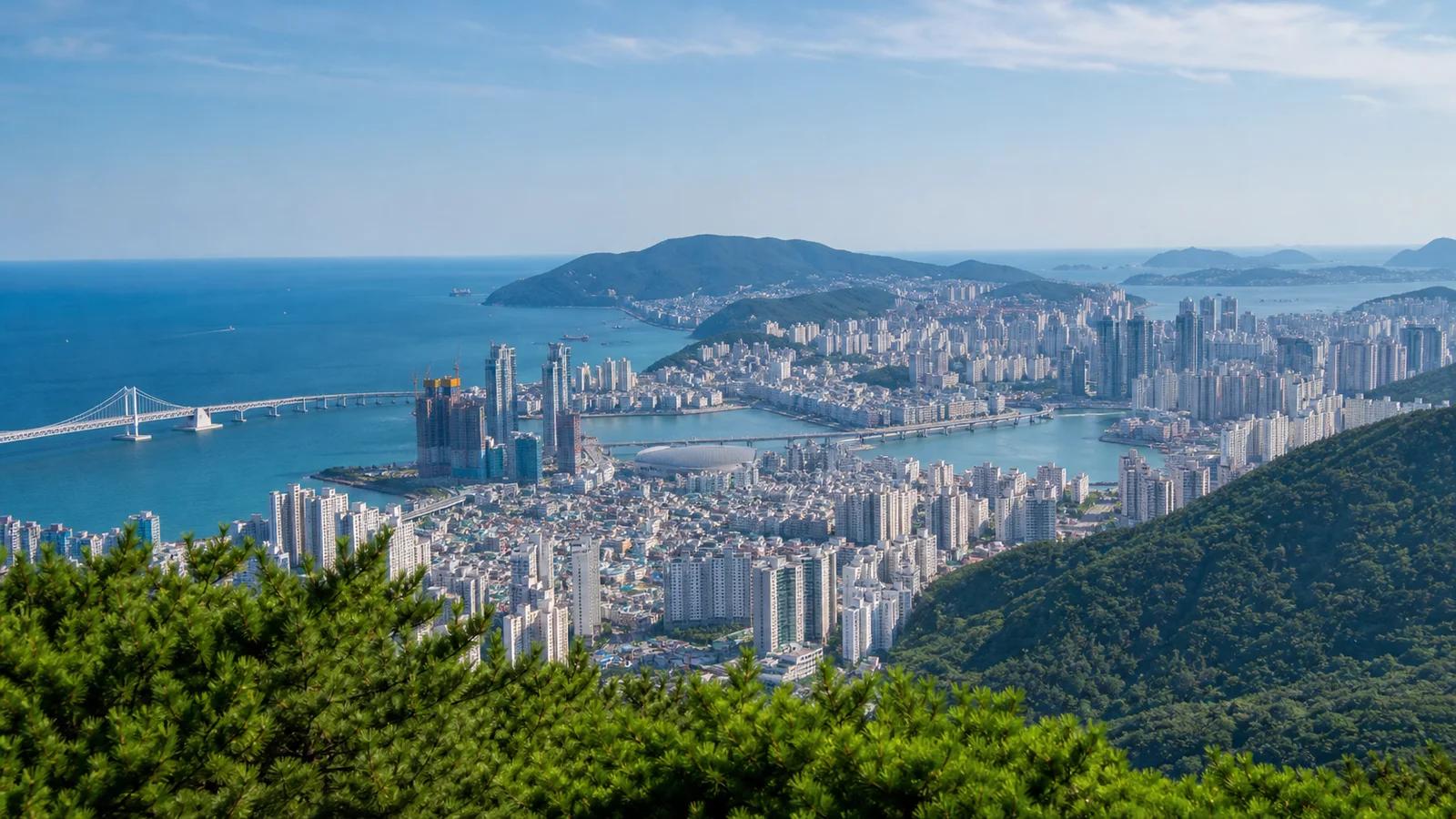 푸른 바다와 산, 고층 건물이 겹쳐 보이는 부산의 여름 해안 도시 풍경