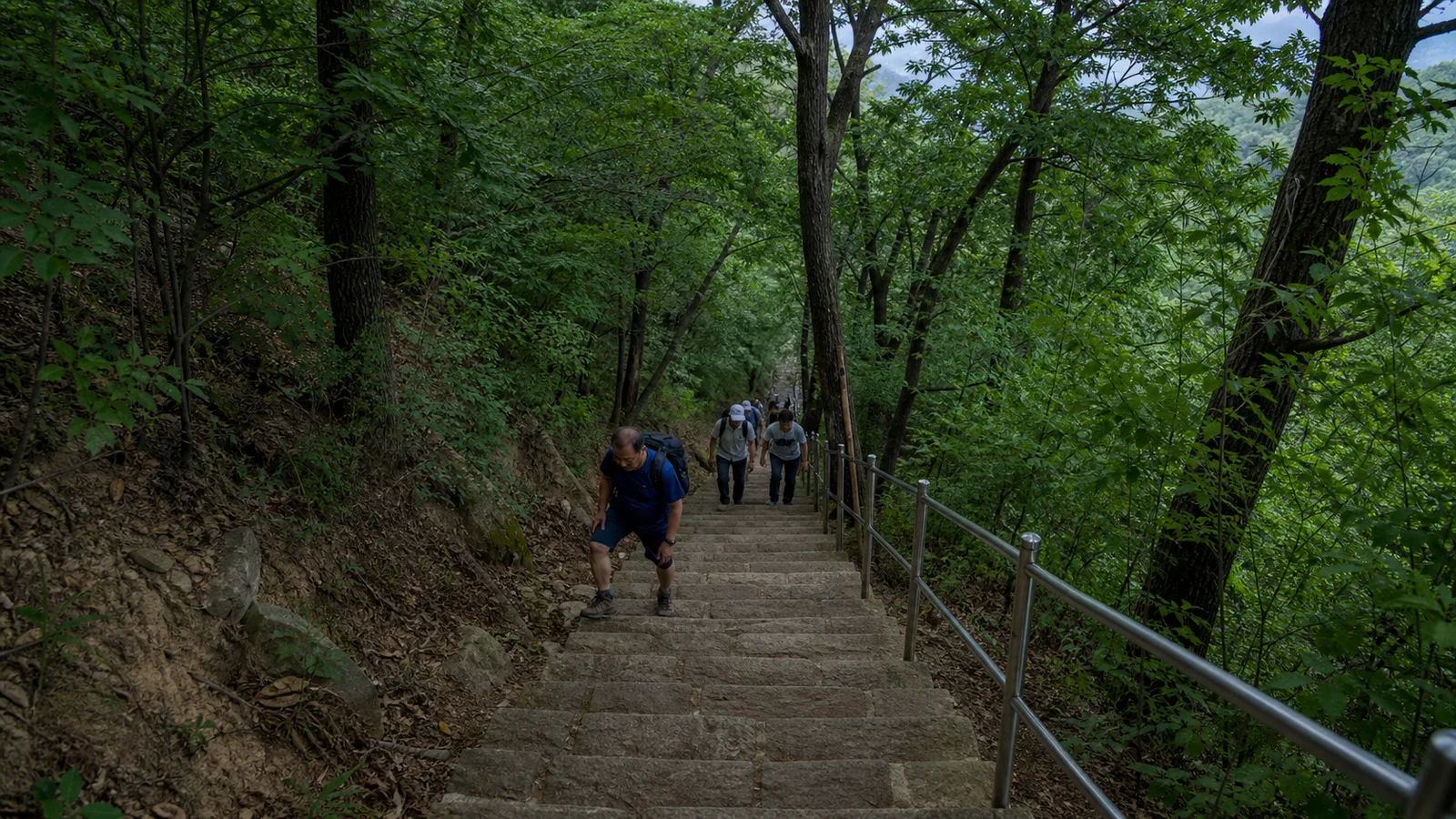 숲속 가파른 계단을 오르는 보문사 눈썹바위 길