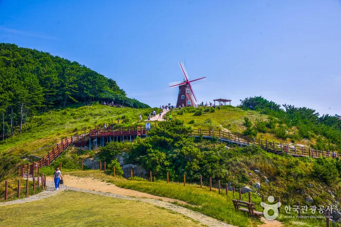 바람의 언덕 초원과 해안 산책길