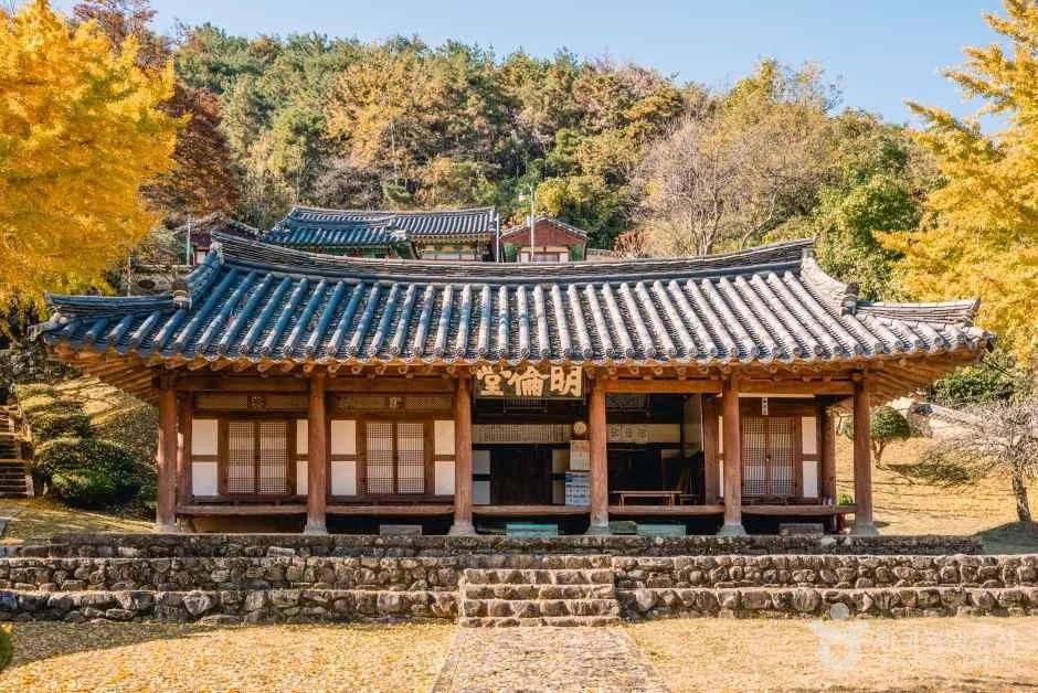 함안향교 명륜당 앞 마당과 은행나무