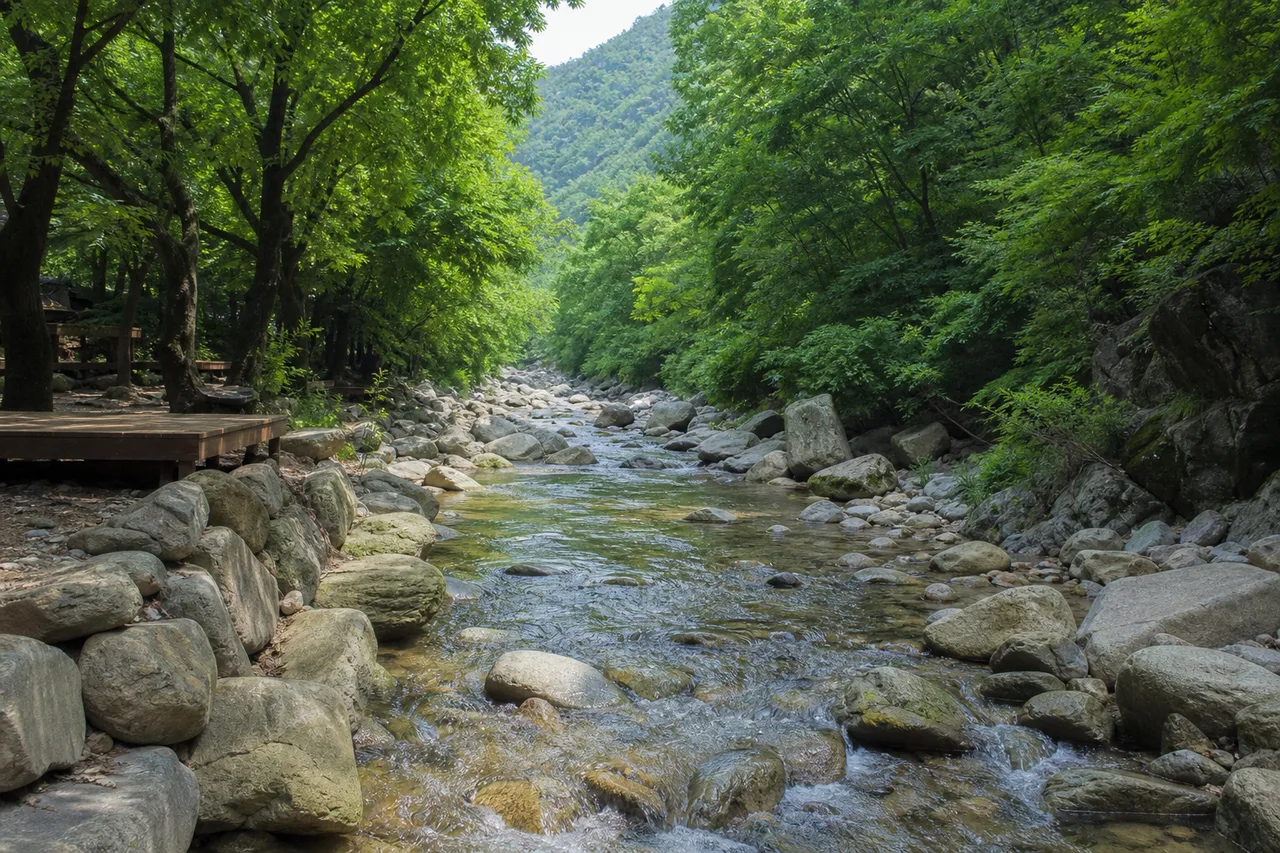 경기 광주 남한산성 자락의 숲과 둥근 바위 사이로 흐르는 여름 계곡