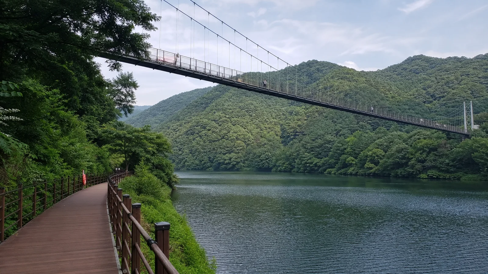 숲과 호수를 가로지르는 파주 마장호수 출렁다리