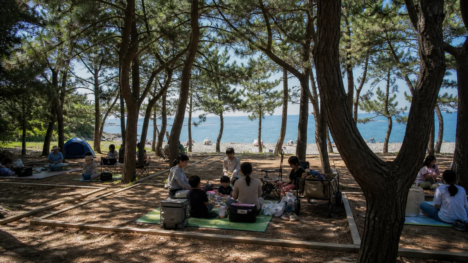 벌천포 해변 뒤 소나무 그늘의 지정 공간에서 쉬는 가족 여행객