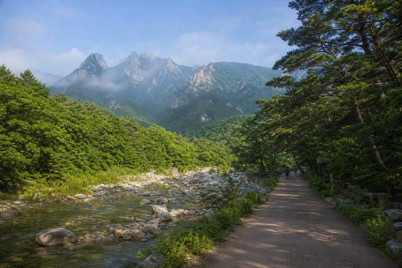설악산 입구 여름 산책로와 계곡 풍경