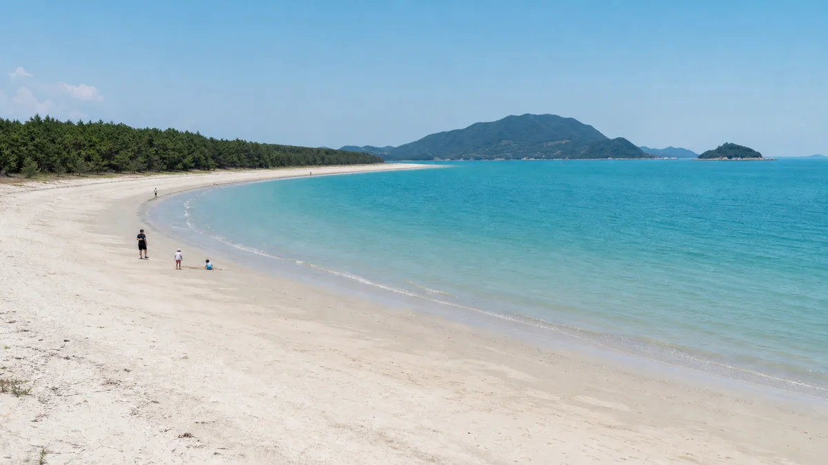 완도 신지도의 길게 이어진 모래사장과 해송 숲이 보이는 명사십리해수욕장