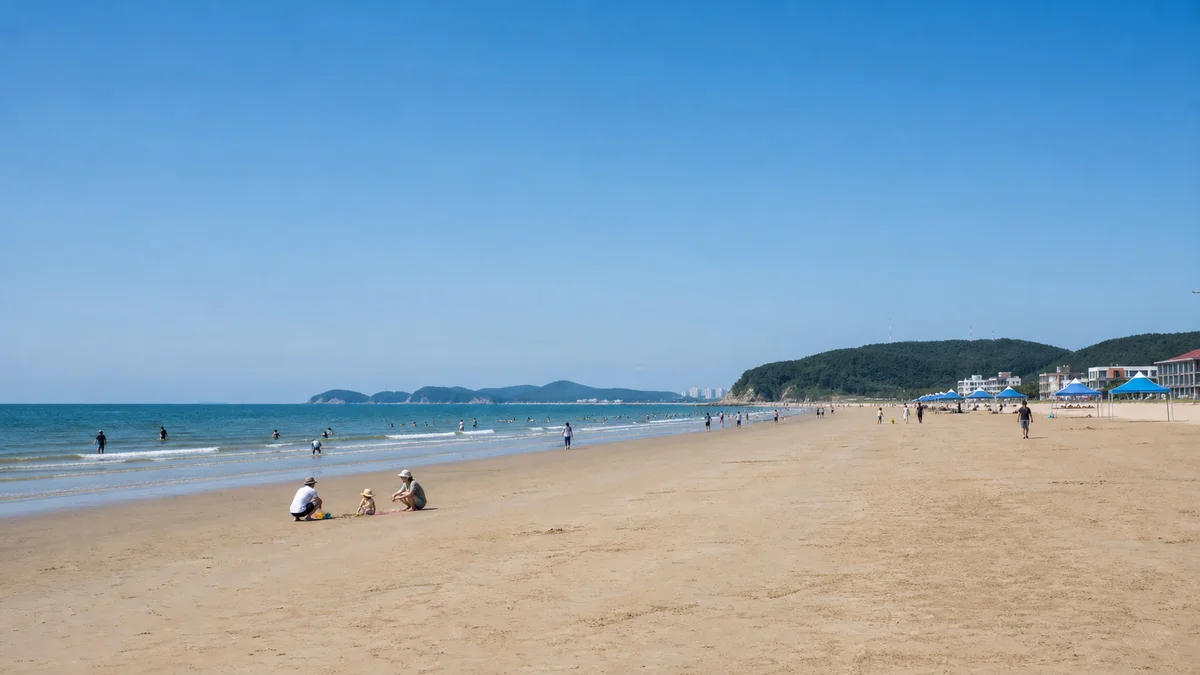 넓은 백사장과 낮은 서해 파도가 이어지는 보령 대천해수욕장