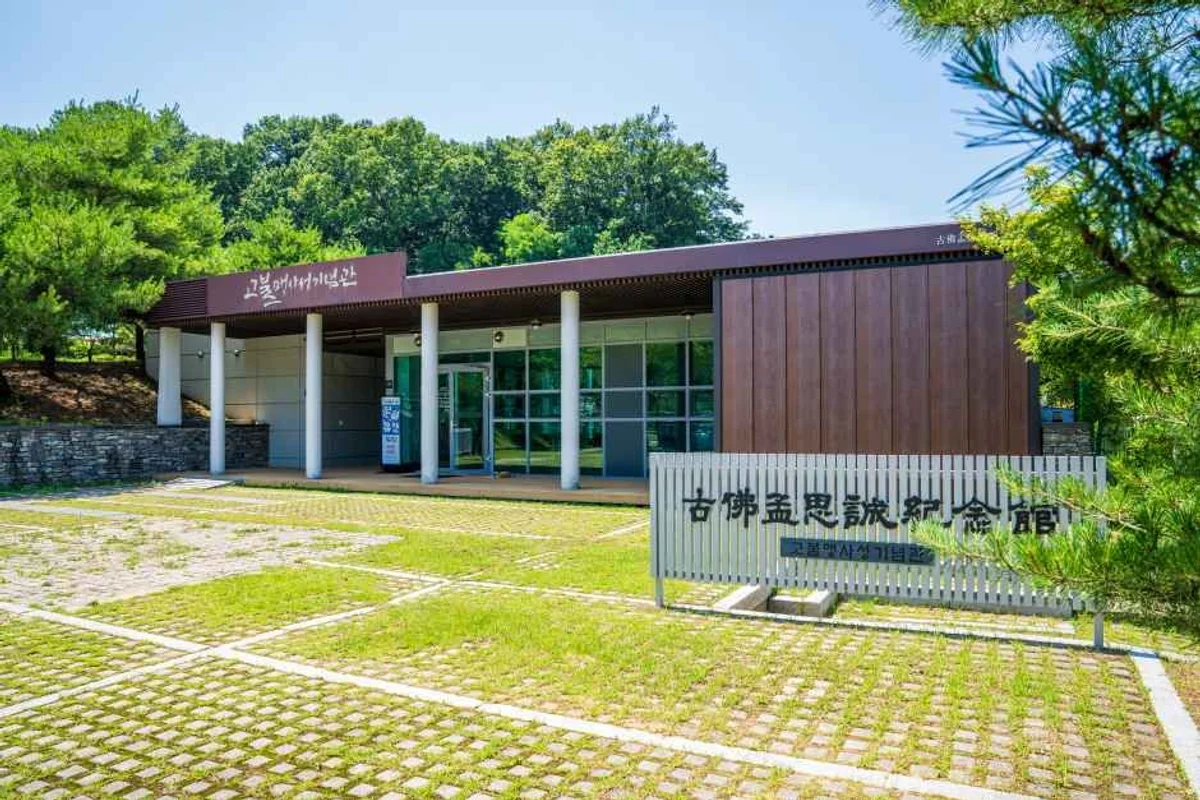 아산시 래프팅 대신! 2026 아산 여름 액티비티 추천 5가지