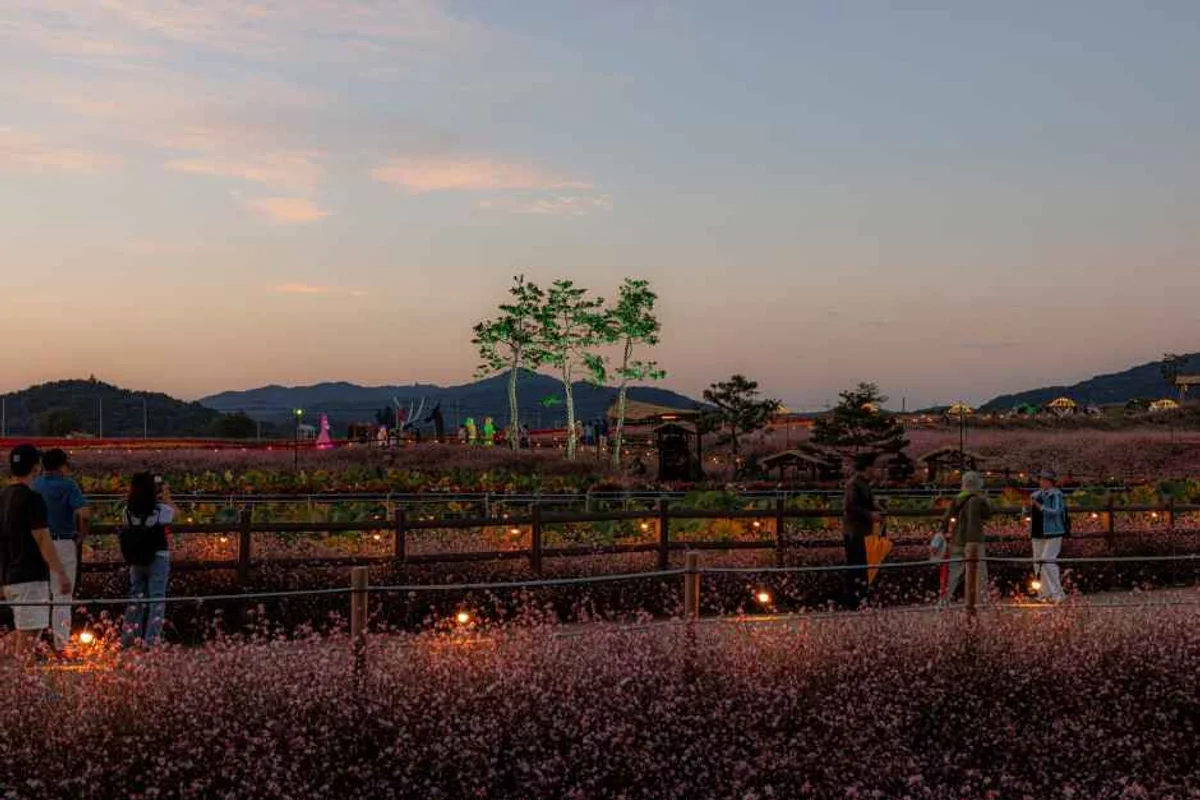 대전역 야경 명소 가볼만한곳 BEST 5, 봄밤 로맨틱 산책 코스