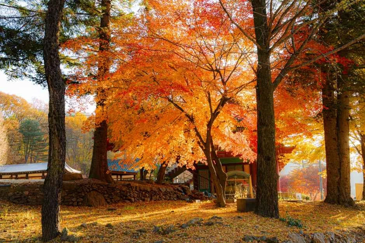 따스한 봄밤, 경기 밤바다 야경 놓칠 수 없는 명소 5곳