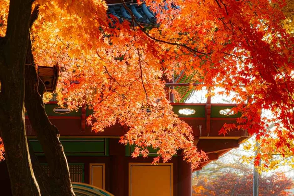 시화나래휴게소 - 경기밤바다 여행