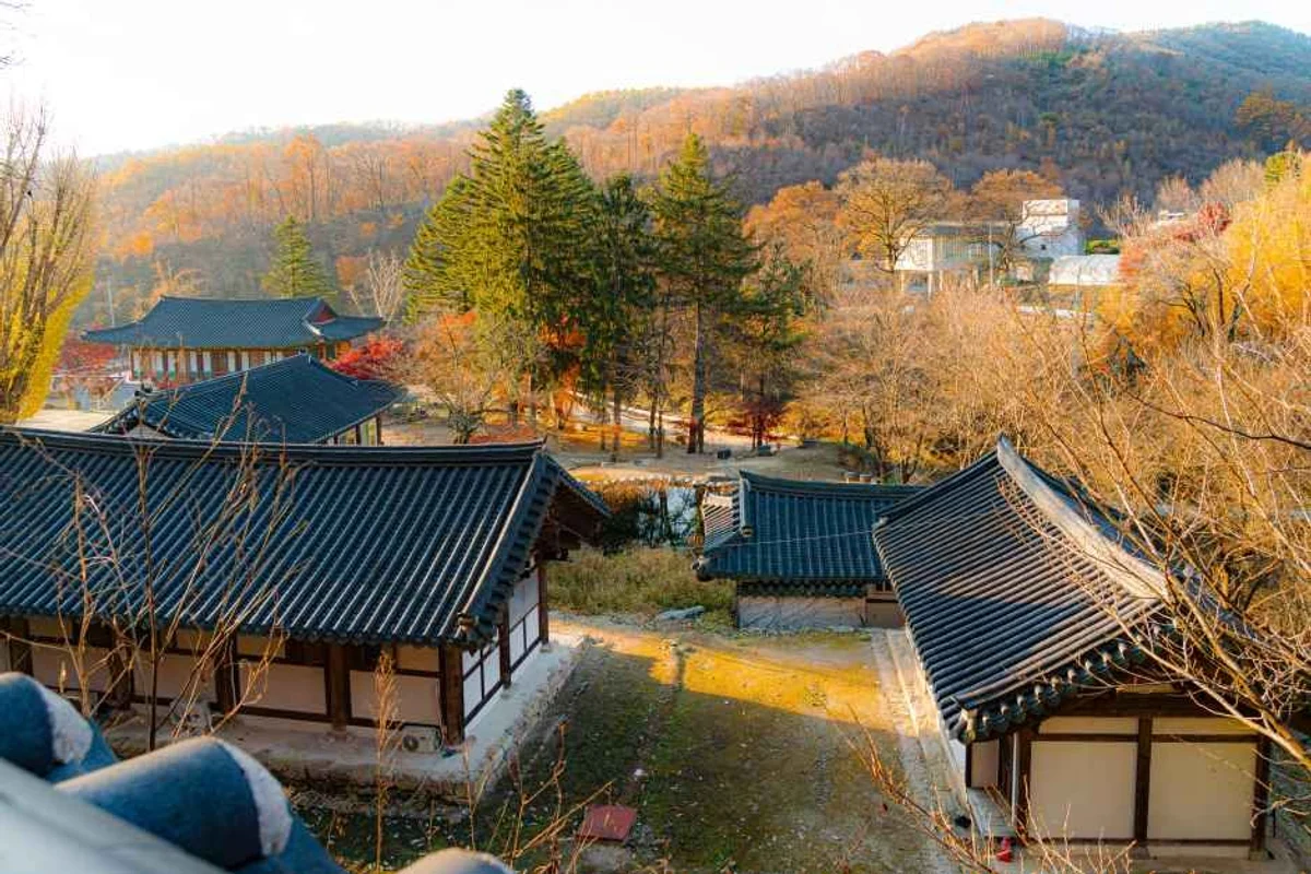 평택 황새바위길 - 경기밤바다 여행
