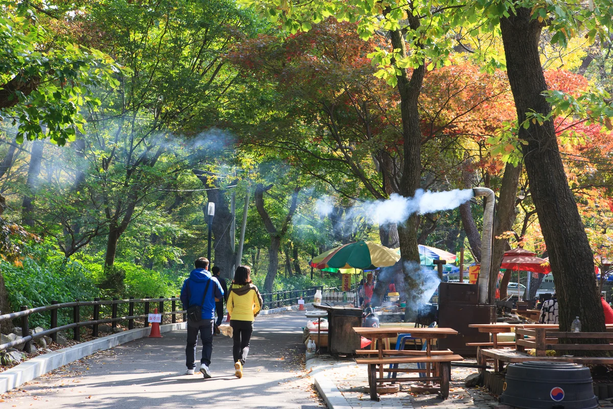 2026 목동 등산 추천 5곳, 봄 산책 완벽 코스