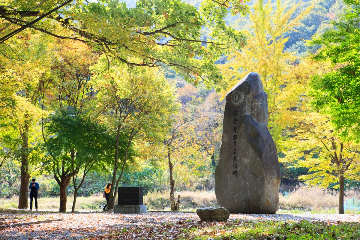 실개천생태공원 - 목동등산 여행