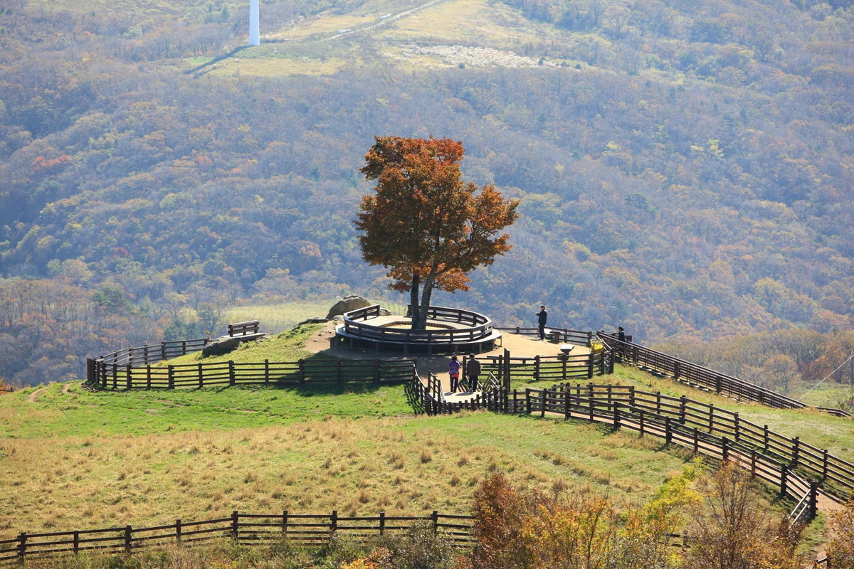 삼각산도시자연공원 - 삼양자전거길 여행